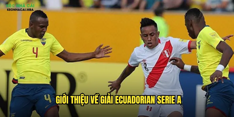 Soi Kèo Ecuadorian Serie A Kèo Nhà Cái - Khám Phá Bóng Đá Ecuador 2 Giới thiệu về giải Ecuadorian Serie A