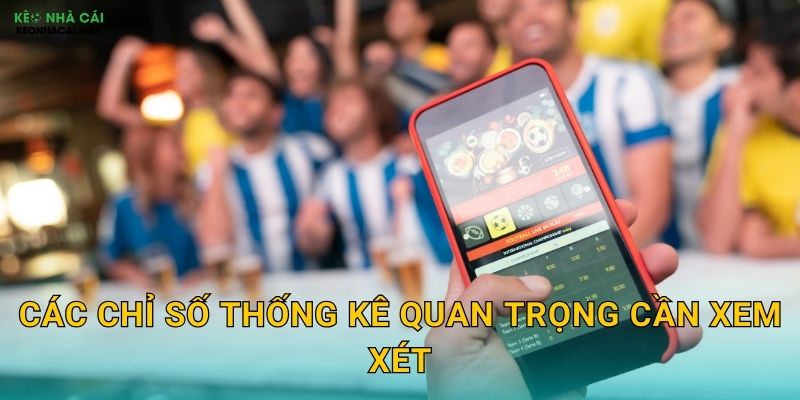 Các chỉ số thống kê quan trọng cần xem xét