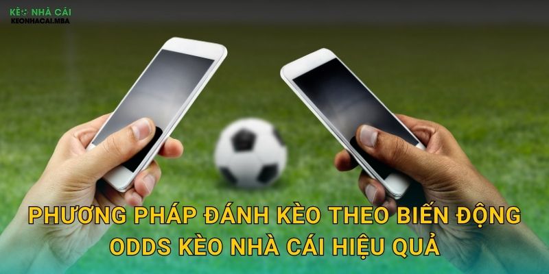 Đánh Kèo Theo Biến Động Odds - Kỹ Thuật Chuyên Nghiệp Tại Kèo Nhà Cái 3 Phương pháp đánh kèo theo biến động odds kèo nhà cái hiệu quả