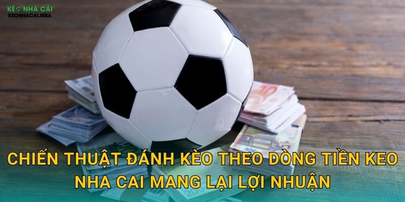 Đánh Kèo Theo Dòng Tiền - Bí Quyết Đi Theo Số Đông Thông Minh Tại Keo Nha Cai 3 Chiến thuật đánh kèo theo dòng tiền keo nha cai mang lại lợi nhuận