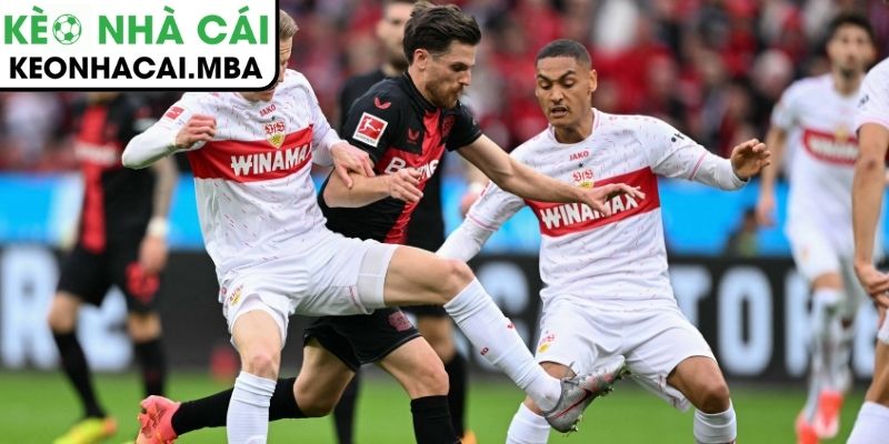 Soi Kèo Bayer Leverkusen Vs Stuttgart (00:30 11/01, Bundesliga) 4 Thông tin lực lượng Bayer Leverkusen vs Stuttgart (00:30 11/01, Bundesliga)