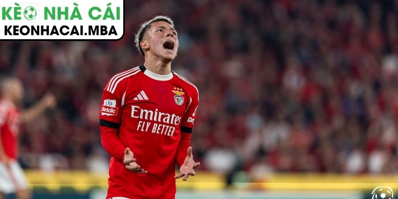 Nguy cơ lỡ hẹn World Cup 2026