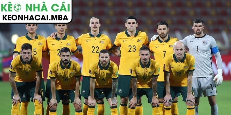 Australia quyết tâm cạnh tranh vé đi tiếp tại World Cup