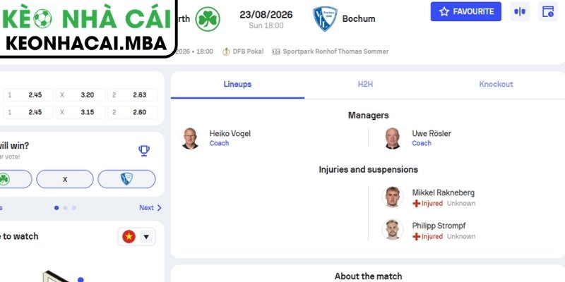 Dự đoán kết quả trận Greuther Furth vs VfL Bochum (18:00 23/08, Cúp Quốc Gia Đức)