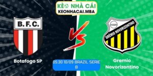Botafogo SP vs Gremio Novorizontino